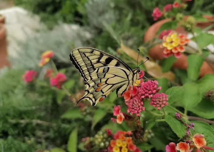 Il Rosmarino בית נופש