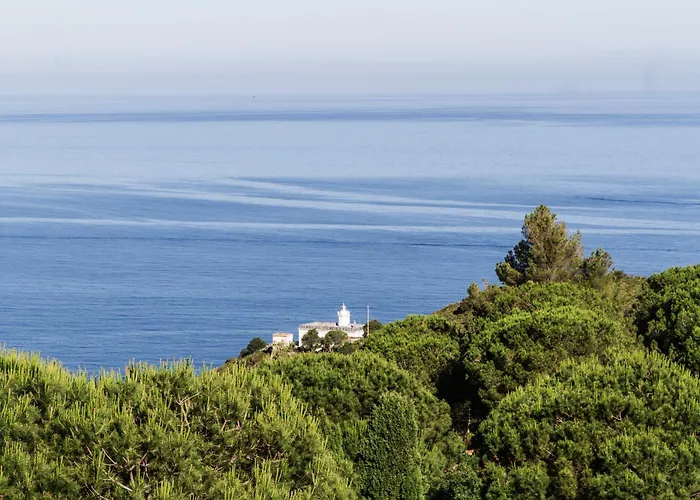 Il Rosmarino Marciana (Isola d'Elba)
